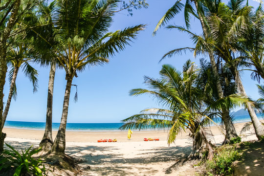 Beach Palm Trees Kayak Tropics Ocean