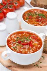 tomato soup with rice, vegetables and herbs