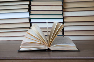 Fototapeta premium books