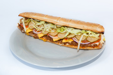 sandwich isolated on white background