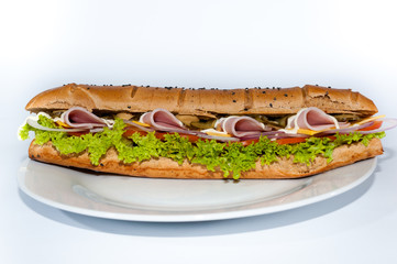 sandwich isolated on white background