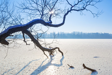 Winter scenery of frozen lake in Poland