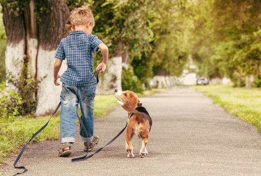 Let's play together! Boy walk with puppy