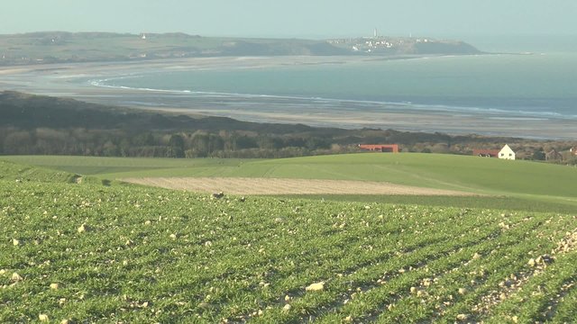 MAREE BASSE DANS LA BAIE