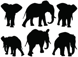 silhouettes of African elephants in walk poses