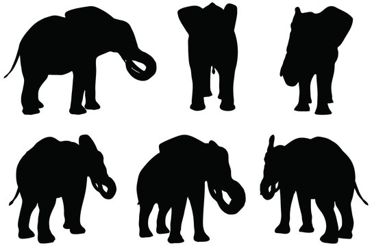 silhouettes of African elephants in eat poses