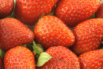 Many ripe appetizing red strawberry fruits as background