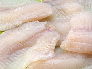 Tilapia fish fillets