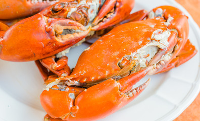 Grilled Crab on white plate