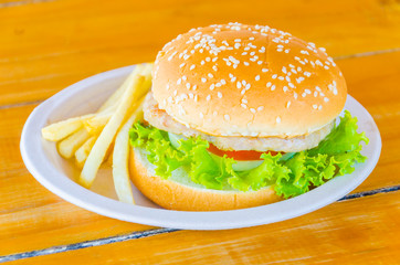 Hamburger and french fries , fast food