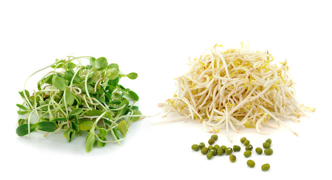 Bean Sprouts Isolated On White Background