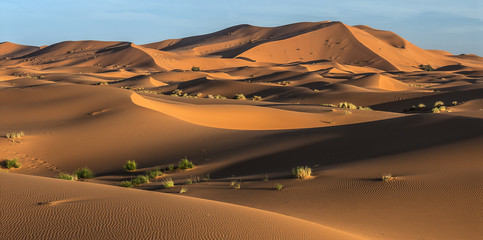 Plakat Desert Dunes