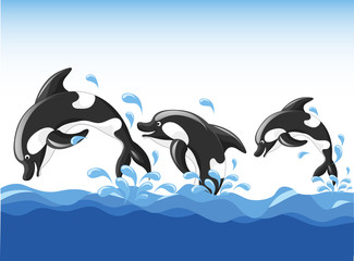 Jumping Dolphins Cartoon