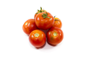 Frische Rote Tomaten