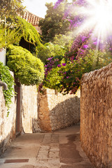 Fototapeta premium Mediterranean street with flowers and trees