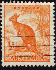 Postage stamp showing the image of a kangaroo