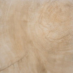 Wood texture of cutted tree trunk - 61127932