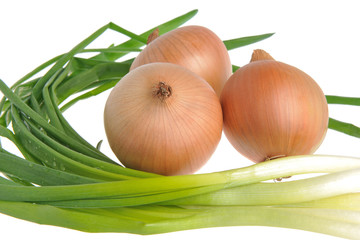 Bulb and green onion isolated on white