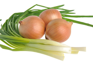 Bulb and green onion isolated on white