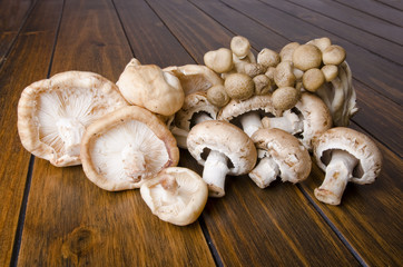Mushrooms
