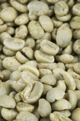 Green Coffee Beans