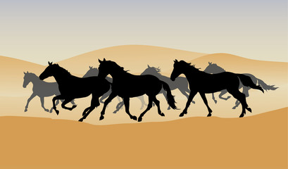 herd in the desert