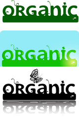 Organic ornate logotype text