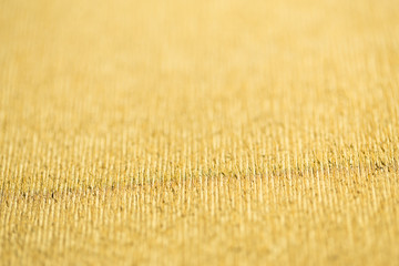 wrapping paper texture