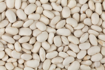 legume background