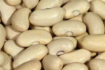 beans macro