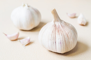 Garlic