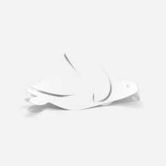 realistic design element: sea ??turtle