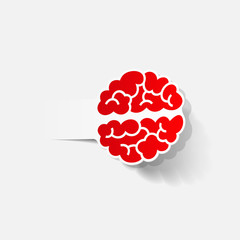 realistic design element: brain