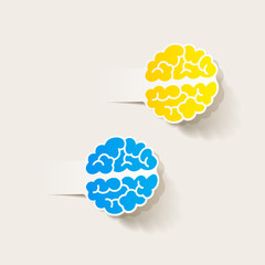 realistic design element: brain