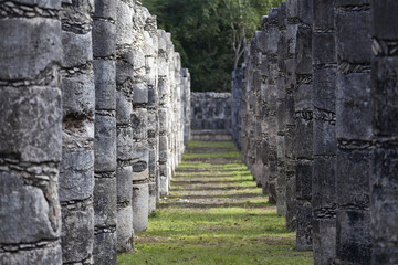 Fototapeta na wymiar Ruiny piramidy Majów, Chichen-Itza, Meksyk