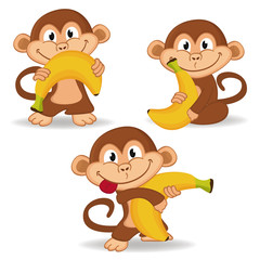 monkey and banana - vector illustration