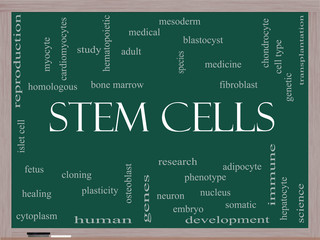 Stem Cells Word Cloud Concept on a Blackboard