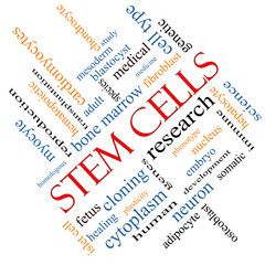 Stem Cells Word Cloud Concept Angled