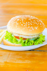 Hamburger and french fries , fast food