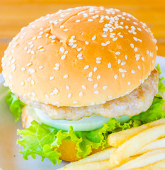 Hamburger and french fries , fast food