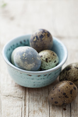 quails eggs