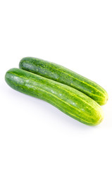 Cucumber