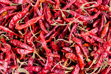 dried red chilli pepper isolated white background