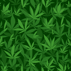 Naklejka na ściany i meble Seamless vector pattern with marijuana leaves
