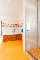 Bath and shower in big contemporary bathroom