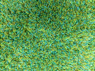 Carpet