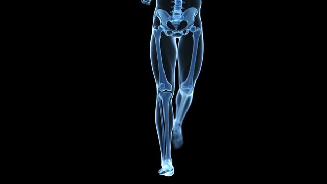 jogging guy - leg bones