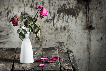 Dried roses in vase
