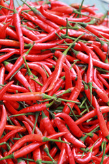 Red chili in the market