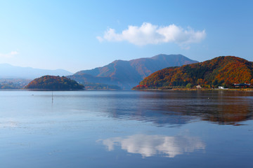 Forest lake in fall